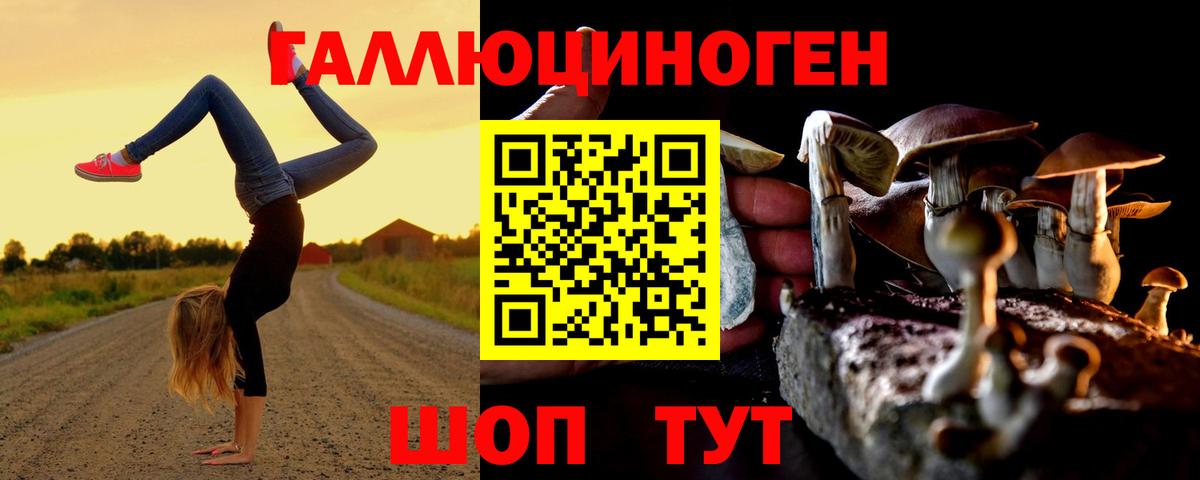 Пугачёв  Псилоцибиновые грибы Psilocybe  Псилоцибиновые грибы MAGIC MUSHROOMS  Вход с VPN 
